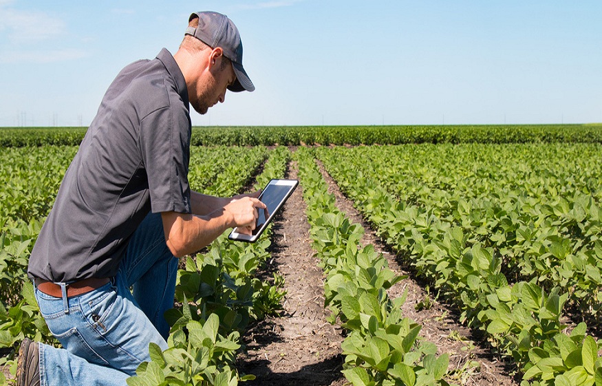 Business Behind Farming